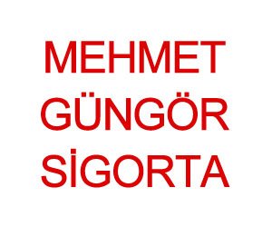Mehmet Güngör Si̇gorta Acentesi̇