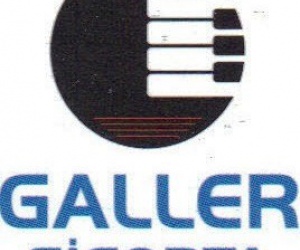 Galler Si̇gorta Acentesi̇